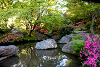 Washington Park Japanese Gardens 5/17/09