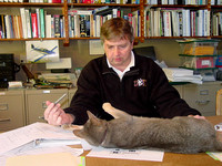 Design assistant