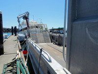 exp-6110024