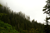 Low clouds obscuring the mountains under Big Four near Verlot, Washington