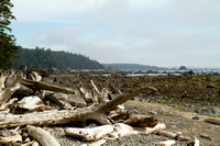 Cape Alava