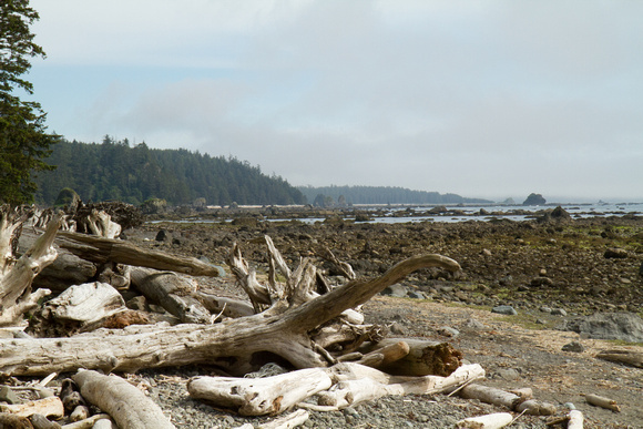 Cape Alava