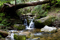 Pilchuck-9823