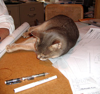 Paper weight