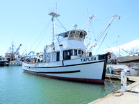 exp-6110013