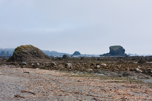 Cape Alava