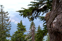 Pilchuck-9848