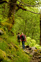 On the trail