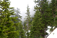 Pilchuck-9870