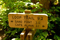 Cape Alava trail