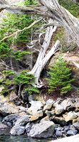 Anacortes & Washington Park   3-1-14