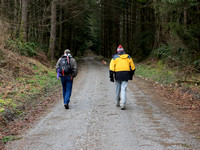 We were on logging roads all the way