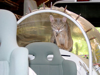 Aircraft inspector