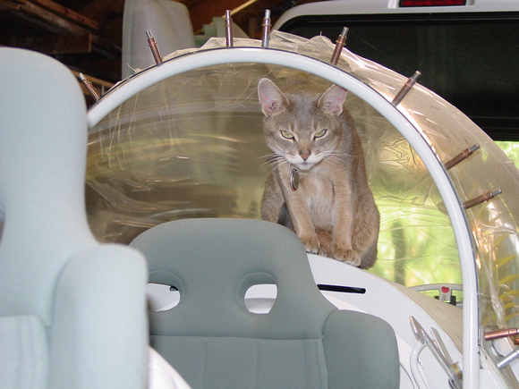 Aircraft inspector
