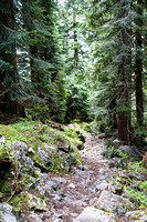 Pilchuck-9879